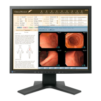 Preview: Eizo RadiForce MX191