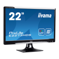 Preview: Iiyama ProLite E2273HDS