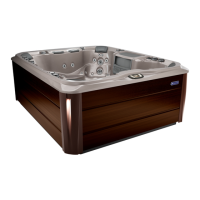 Preview: Sundance Spas Maxxus