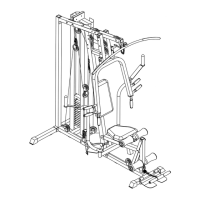Preview: Impex APEX II