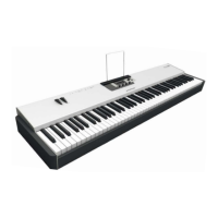 Preview: Studiologic acuna88