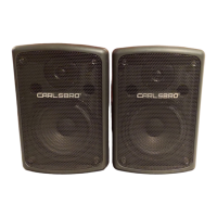 Preview: Carlsbro Passive speaker