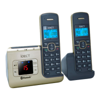 Preview: iDect Link Plus Single