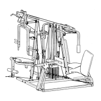 Preview: Weider Victory 527