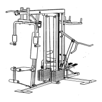 Preview: Weider X4s Power Guide
