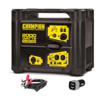 Preview: Champion Power Equipment 73534i