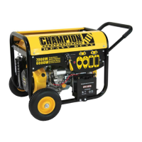 Preview: Champion Power Equipment 40023
