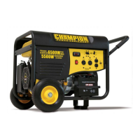 Preview: Champion Power Equipment 41153