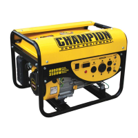 Preview: Champion 40010