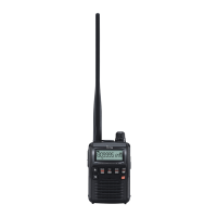 Preview: Icom IC-R6