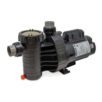Preview: Speck pumps Swimming Pool Pump