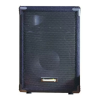 Speaker System Logo