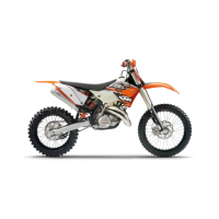 Preview: KTM 125 EXC EU 2010