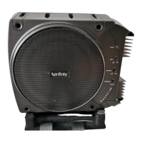Preview: Infinity BassLink