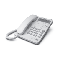 Preview: Panasonic KX-TS600EX