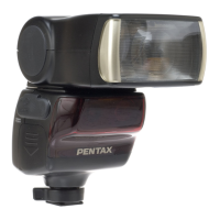 Preview: Pentax AF500FTZ