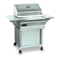 Preview: Wood Fire Convection Grill
