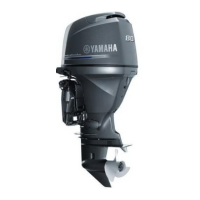 Preview: Yamaha F80A