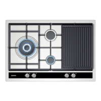 Preview: Siemens Hob