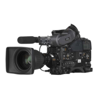 Preview: Sony HDCAM HDW-F900R