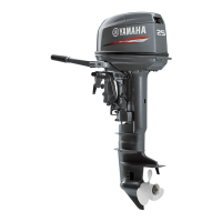 Preview: Yamaha 25C