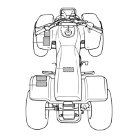 Preview: Yamaha BLASTER YFS200P