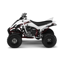 Preview: Yamaha WOLVERINE YFM350FXT