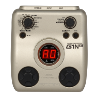 Preview: Zoom G1N EXT