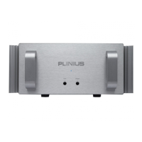 Preview: Plinius SB-301 MKII