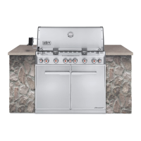Preview: Weber Summit S-460