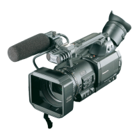 Preview: Panasonic AG-DVC80