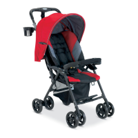 Preview: Combi Strolee