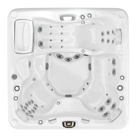 Preview: Sundance Spas 880 Series
