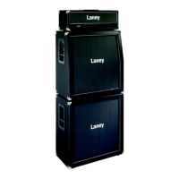 Preview: Laney LV300H