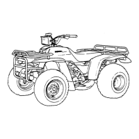 Preview: Honda TRX250