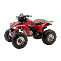 Preview: Honda 1996 Fourtrax 300EX