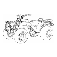 Preview: Honda TRX 250