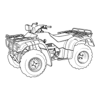 Preview: Honda 1995 TRX 400 FW