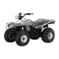 Preview: Honda TRX200SX