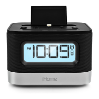 Preview: iHome iPL10