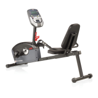 Preview: Schwinn a20