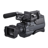 Preview: Sony DCR-SD1000E