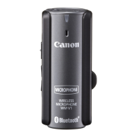 Preview: Canon WM-V1
