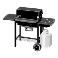 Preview: Weber Genesis Silver-A LP