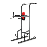 Preview: Weider Power Tower WEBE99712.0