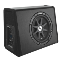 Preview: Kicker SubStation PES10C
