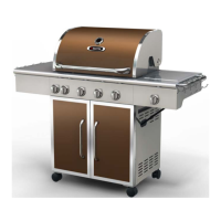 Preview: BBQ GSF2818K