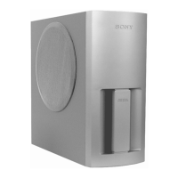 Preview: Sony SS-WS300