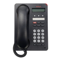 Preview: Avaya 1603