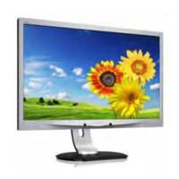 Preview: Philips Brilliance 231P4QPY